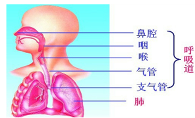 图片[5]-气球和塑料瓶不要扔，几种方法教你变废为宝，轻松培养孩子创造力-狂人资源网