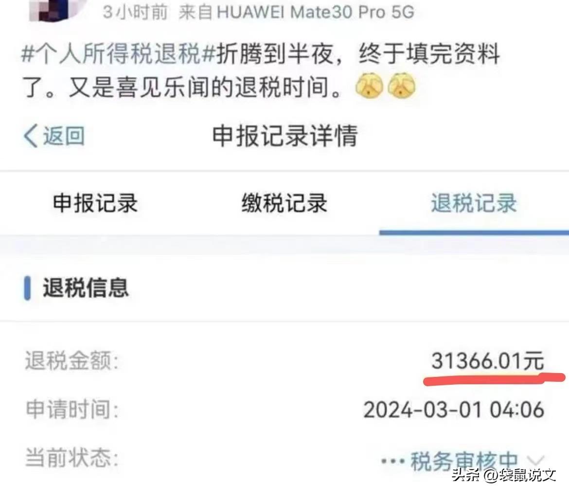 图片[2]-退税如何操作？怎么才有资格退税？-狂人资源网