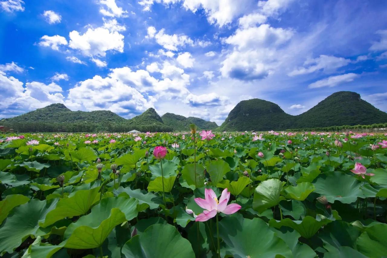 图片[8]-云南哪个地方好看？云南旅游冷门地方有哪些？-狂人资源网