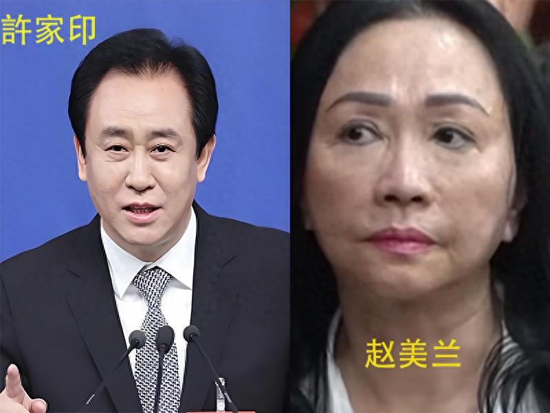 图片[1]-越南女首富张美兰被判死刑，命运的反转：张美兰跌落神坛，许家印身陷风波-狂人资源网